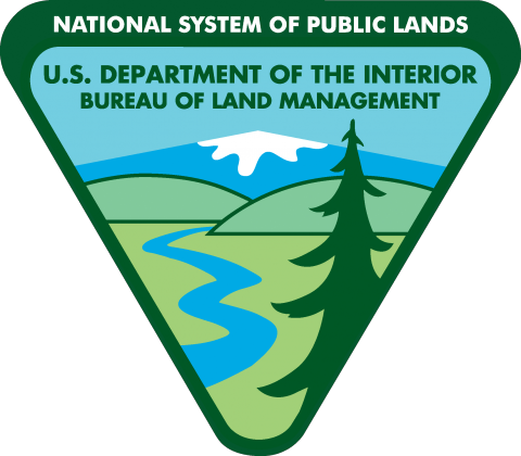 BLM Logo